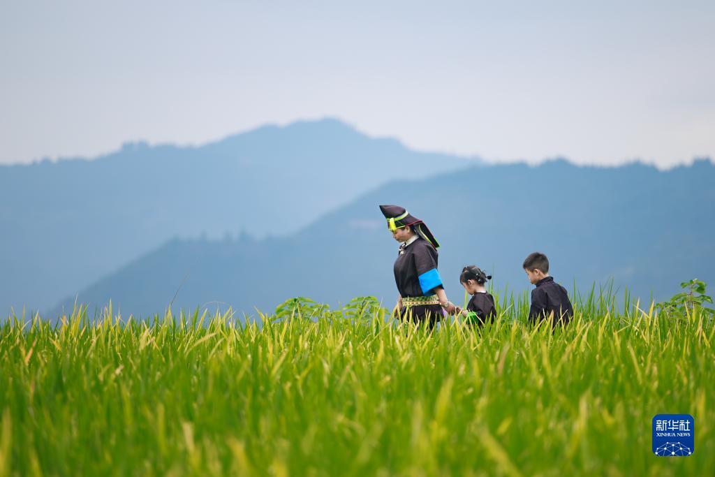 大红鹰官网m.58.com